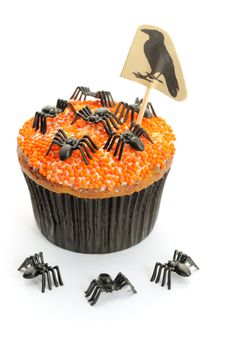 Halloween cupcake with decoration isolated on white