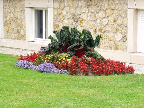 Lawn and flowers in front of the building