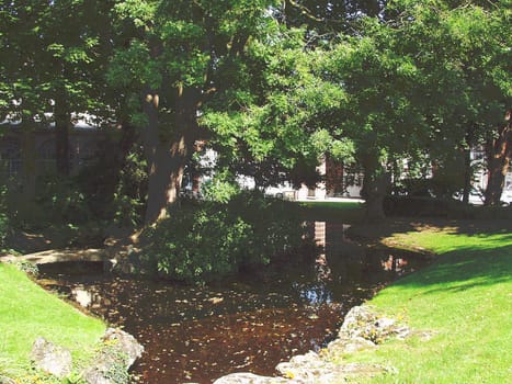 Pond in city park