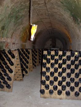 In the cellar of champagne producers