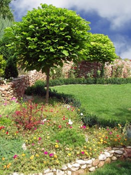 Lawn and garden. Landscaping