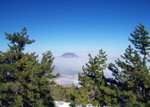 Mountain landscape. Pine trees on the slope