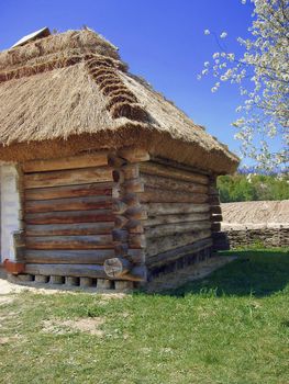 Ukrainian farmhouse under the thatched roof