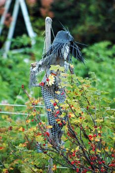 A bird scare in a garden