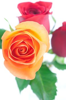 bouquet of colorful roses isolated on white