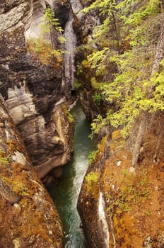 a raging torrent a mountain Subwatcha canyon