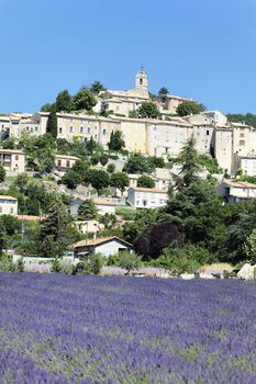 Banon village and lavender field in France