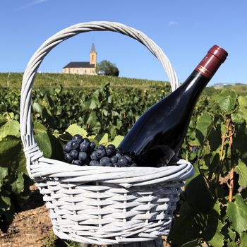 bottle of wine in basket in France