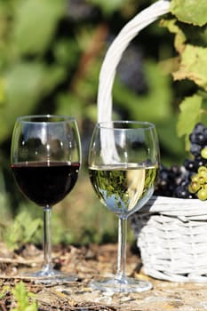 two glasses of wine and grappes in basket