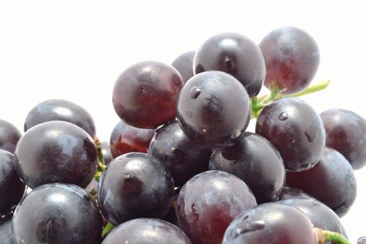 Wet berries of black grape over white background