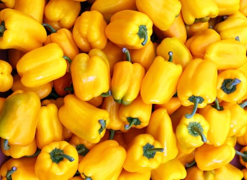 Agricultural background, a yellow bell pepper Bulgarian