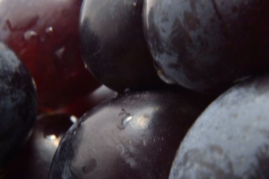 Wet berries of black grape