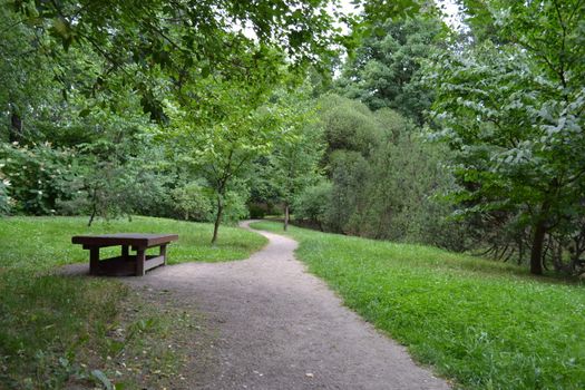 View of path in the garden and empty bench