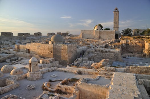 The Citadel of Aleppo is a large medieval fortified palace in the centre of the old city of Aleppo, northern Syria.