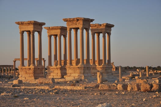 Four ancient columns - archaeological site, ruins, Palmyra, Syria (early morning)