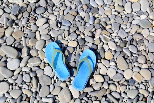 Image of varicoloured feminine schists on beach