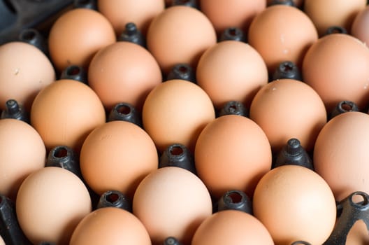 close up of eggs in black plastic container