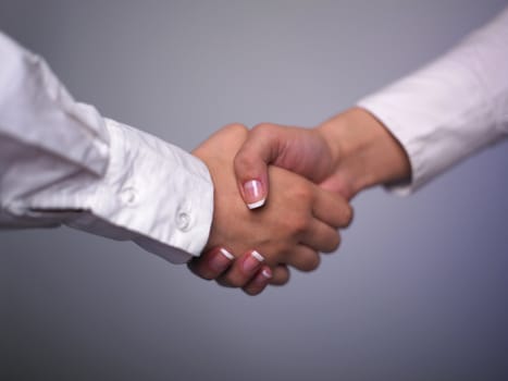 Handshake Handshaking isolate on white