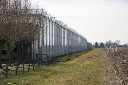 outside greenhouse used for tomato cultivation