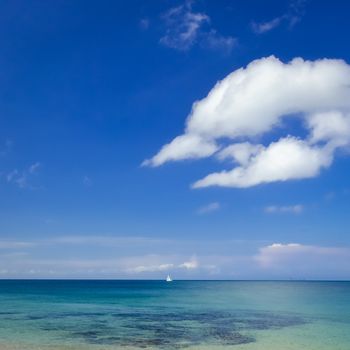 Ocean day landscape with blue cloudy sky and sailboat