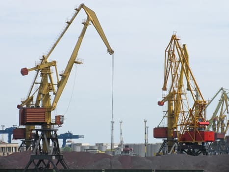 huge cranes in seaport
