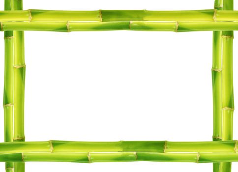 Bamboo frame made of stems
