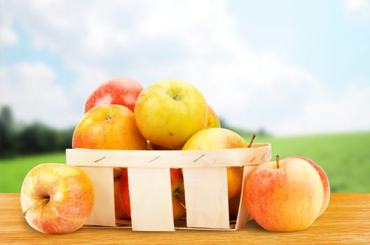 Fresh and colorful apples in basket, selective focus