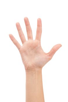 Open woman hand or number five isolated on white 