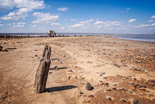 littered the drying lake shore on blue sky background