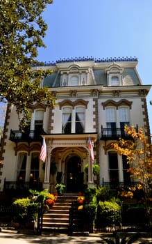Savannah Architecture