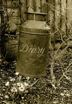 antique dairy can