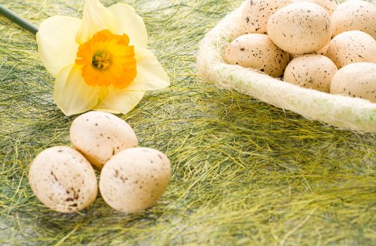 Daffodil and full basket with decorated speckled easter eggs