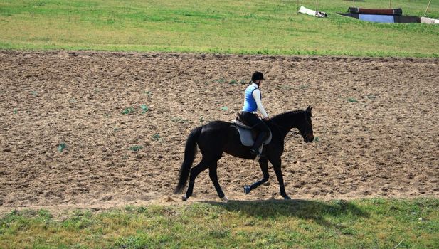 Horse rider training in a field