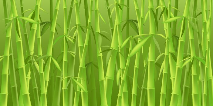 design of chinese bamboo trees, illustration background