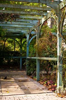 A wooden pergola in an english garden