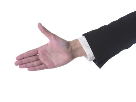 Womans Hand Ready For Handshaking