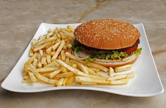 food plate with fries and hamburger