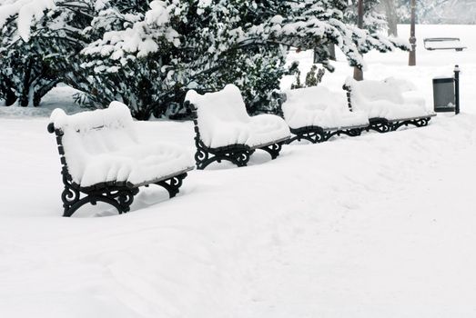 several benches at snow in winter park
