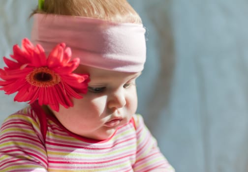 Baby in the headband with gerbera flower