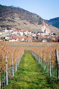Village in danube valley at the end of the winter