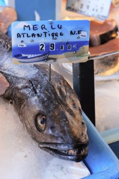 Fresh fishes in a french market 