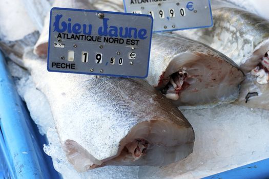 Fresh fishes in a market in France