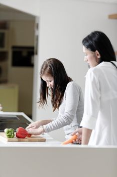 Two attractive friends preparing food in their kitchen at home.