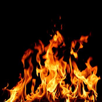 fire flame close up on black background