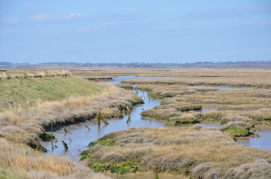 Essex coastal waters