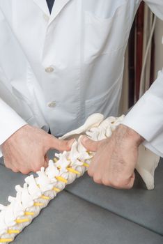 Manual, physio and kinesio therapy techniques performed by a male physiotherapist on a training plastic spine and a female patient