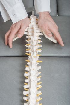 Manual, physio and kinesio therapy techniques performed by a male physiotherapist on a training plastic spine and a female patient