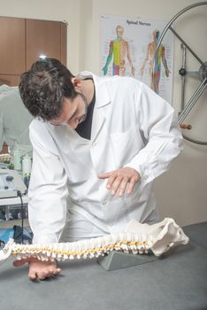 Manual, physio and kinesio therapy techniques performed by a male physiotherapist on a training plastic spine and a female patient