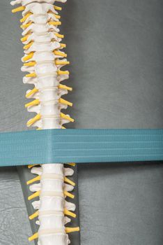 Manual, physio and kinesio therapy techniques performed by a male physiotherapist on a training plastic spine and a female patient