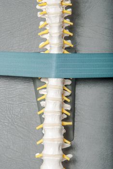 Manual, physio and kinesio therapy techniques performed by a male physiotherapist on a training plastic spine and a female patient